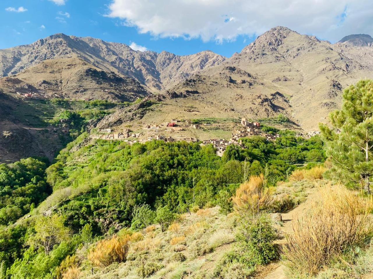 Riad Imnane Lodge Tamgaist Номер фото